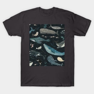 Whale song (charcoal) T-Shirt